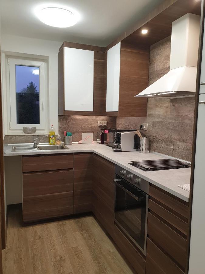 Apartman U Labe 님부르크 외부 사진